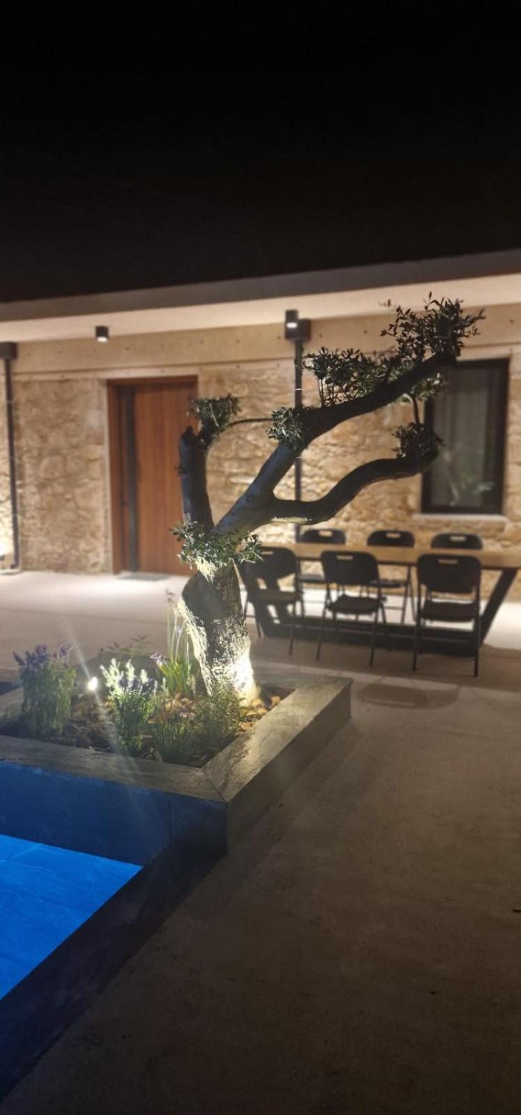 Phaedrus Living Olive Grove Luxury Villa Paphos 外观 照片